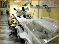 Laboratorio - DTK - Dental Teknology